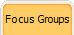 Focus Groups